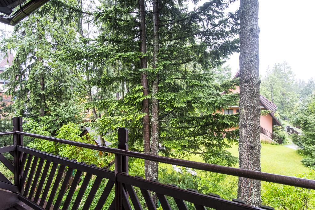 Zbikowka Homestay *