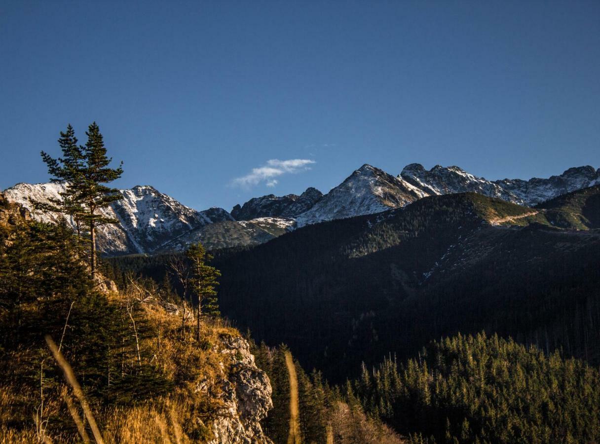 Homestay Zbikowka Zakopane